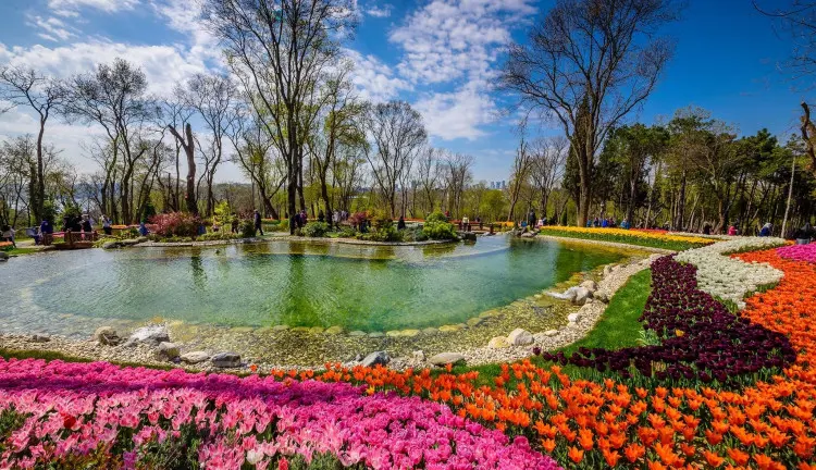 Kaman Tanıtım